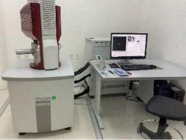Microscopio Electrónico de Barrido (SEM)